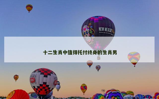 十二生肖中值得托付终身的生肖男