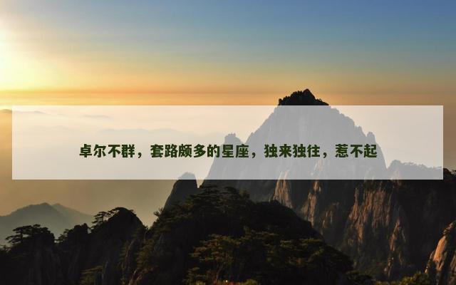 卓尔不群，套路颇多的星座，独来独往，惹不起