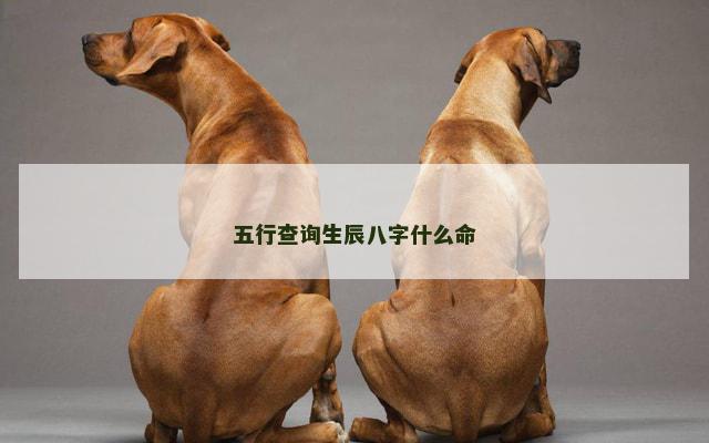 五行查询生辰八字什么命