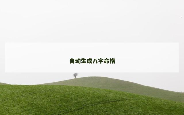 自动生成八字命格