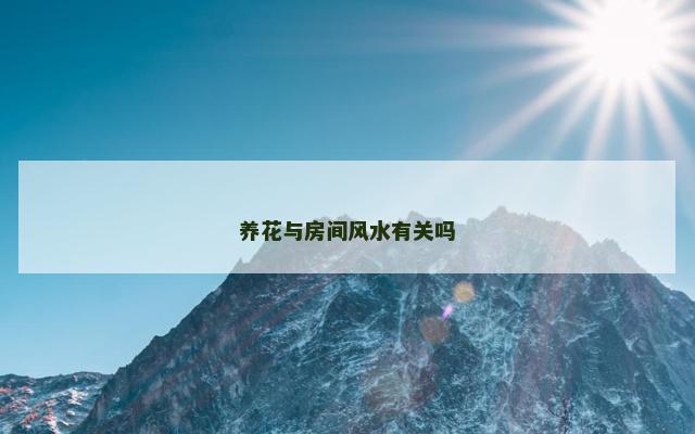 养花与房间风水有关吗