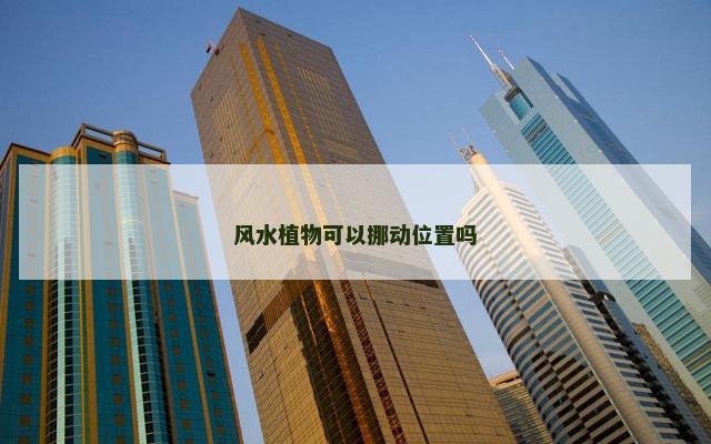 风水植物可以挪动位置吗