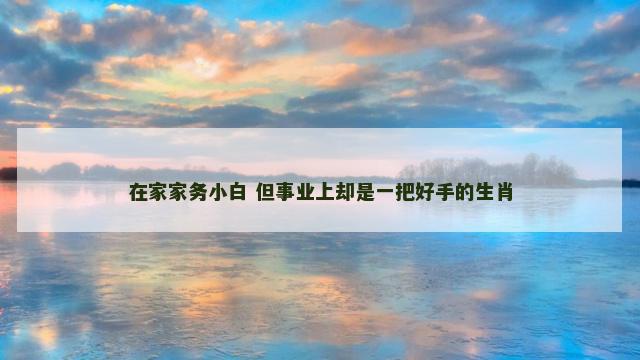 在家家务小白 但事业上却是一把好手的生肖