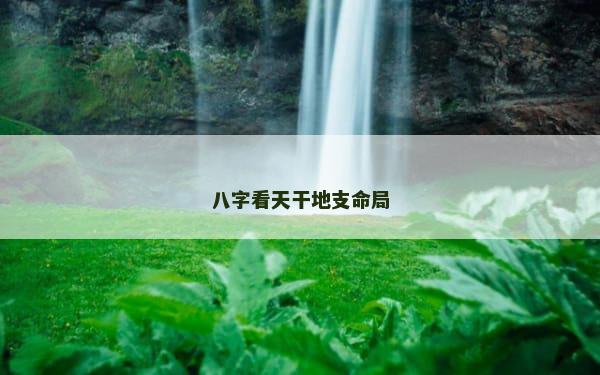 八字看天干地支命局