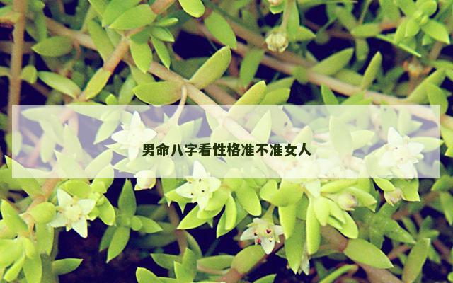 男命八字看性格准不准女人