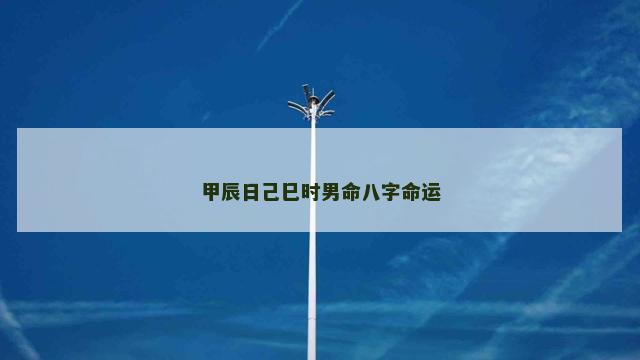 甲辰日己巳时男命八字命运