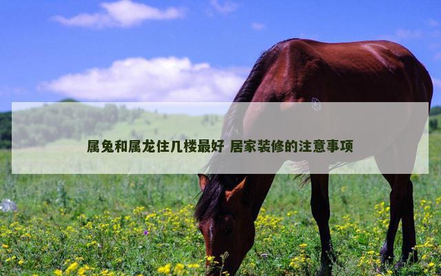 属兔和属龙住几楼最好 居家装修的注意事项