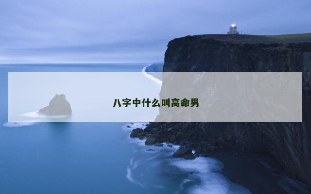 八字中什么叫高命男