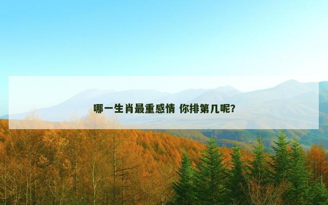 哪一生肖最重感情 你排第几呢？