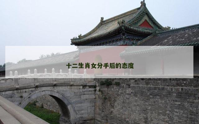 十二生肖女分手后的态度