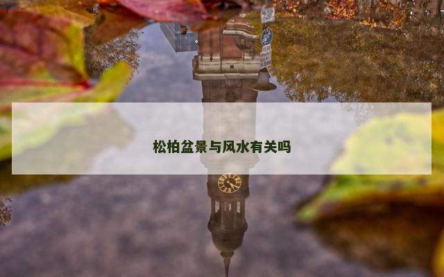 松柏盆景与风水有关吗