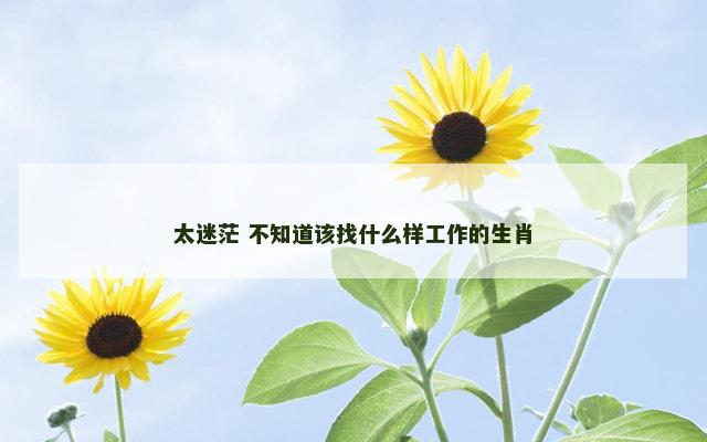 太迷茫 不知道该找什么样工作的生肖