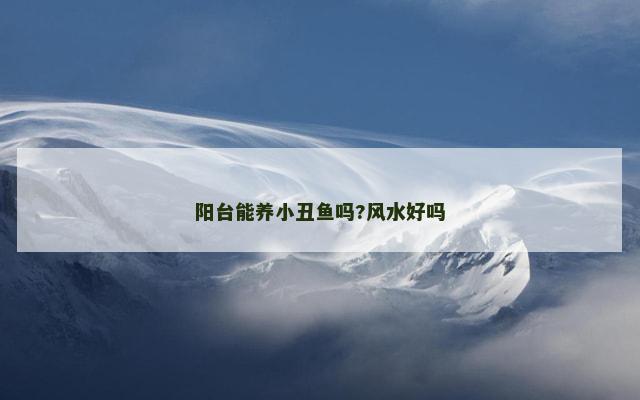 阳台能养小丑鱼吗?风水好吗