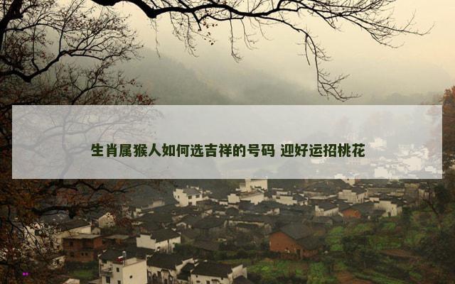 生肖属猴人如何选吉祥的号码 迎好运招桃花
