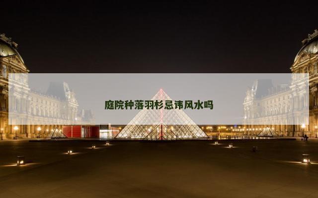 庭院种落羽杉忌讳风水吗