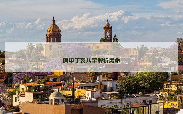 庚申丁亥八字解析男命
