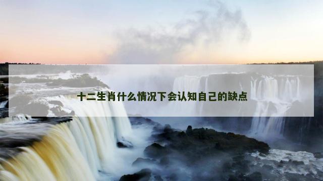 十二生肖什么情况下会认知自己的缺点