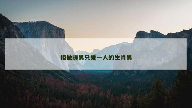 拒做暖男只爱一人的生肖男