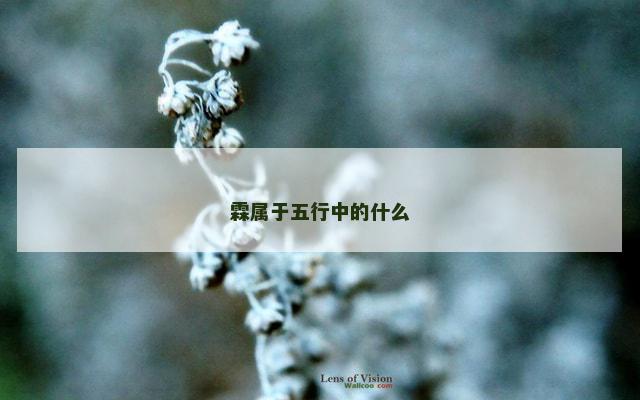 霖属于五行中的什么