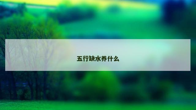 五行缺水养什么