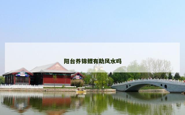 阳台养锦鲤有助风水吗