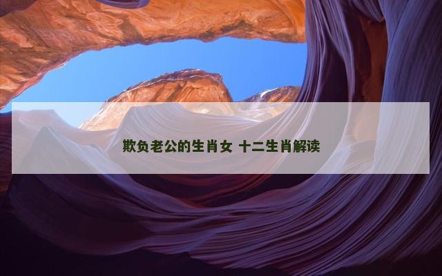欺负老公的生肖女 十二生肖解读