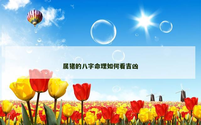 属猪的八字命理如何看吉凶
