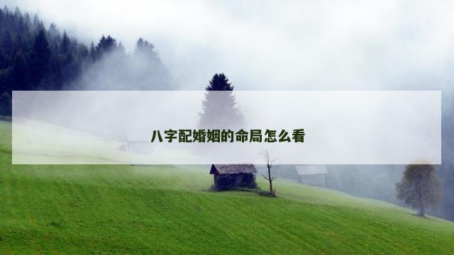 八字配婚姻的命局怎么看