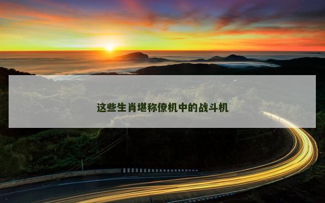 这些生肖堪称僚机中的战斗机
