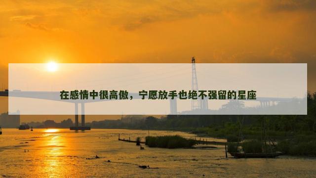 在感情中很高傲，宁愿放手也绝不强留的星座