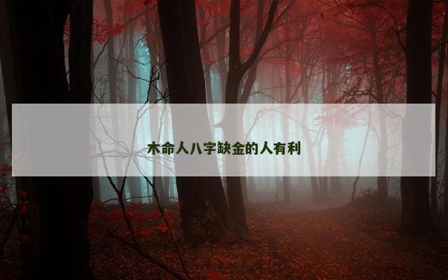 木命人八字缺金的人有利
