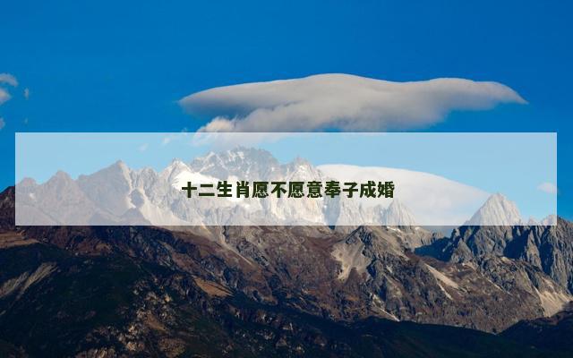 十二生肖愿不愿意奉子成婚