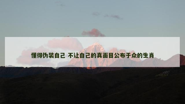 懂得伪装自己 不让自己的真面目公布于众的生肖