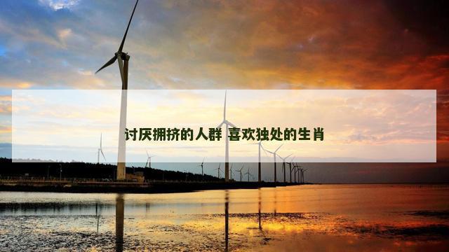 讨厌拥挤的人群 喜欢独处的生肖