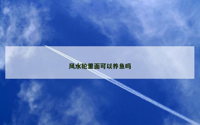 风水轮里面可以养鱼吗