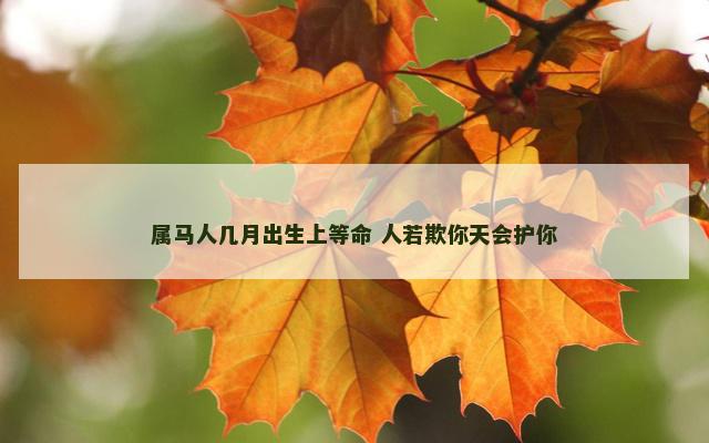 属马人几月出生上等命 人若欺你天会护你