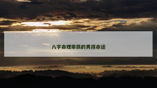 八字命理带辰的男孩命运