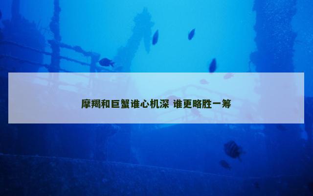 摩羯和巨蟹谁心机深 谁更略胜一筹