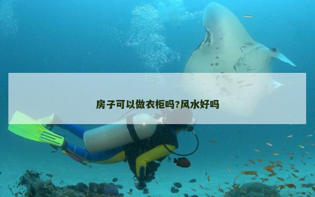 房子可以做衣柜吗?风水好吗