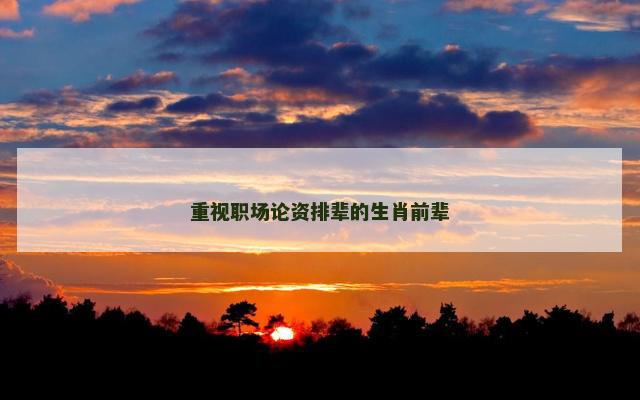 重视职场论资排辈的生肖前辈