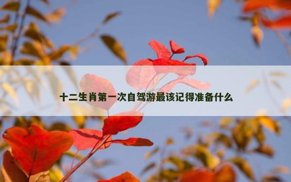 十二生肖第一次自驾游最该记得准备什么