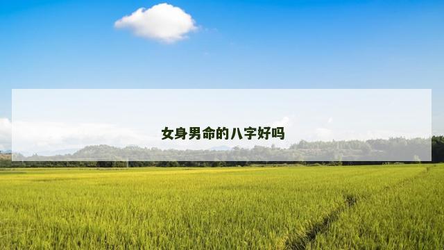 女身男命的八字好吗