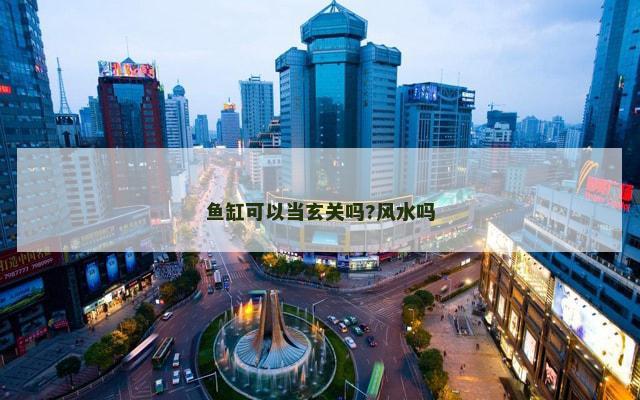 鱼缸可以当玄关吗?风水吗