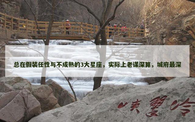 总在假装任性与不成熟的3大星座，实际上老谋深算，城府最深