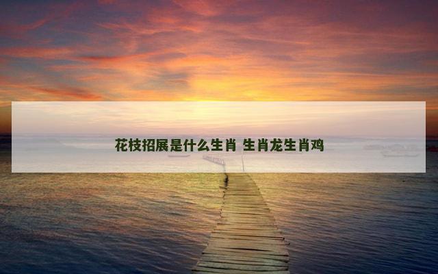 花枝招展是什么生肖 生肖龙生肖鸡