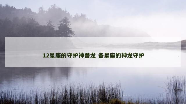 12星座的守护神兽龙 各星座的神龙守护