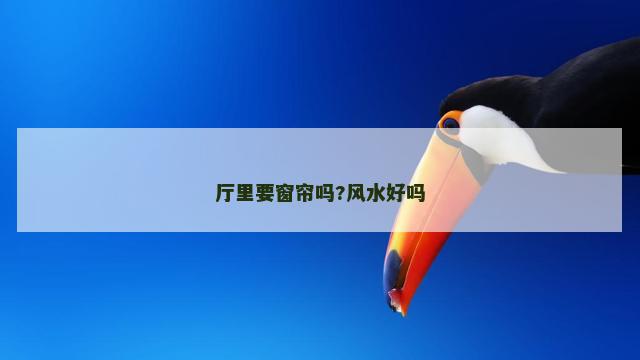 厅里要窗帘吗?风水好吗