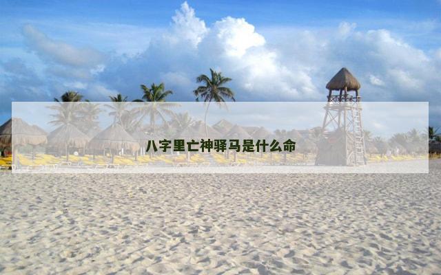 八字里亡神驿马是什么命