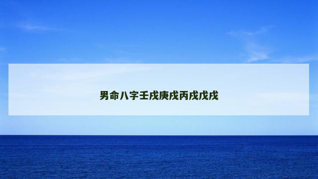 男命八字壬戌庚戌丙戌戊戌