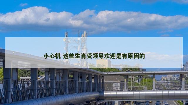 小心机 这些生肖受领导欢迎是有原因的